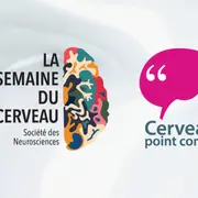 Semaine du cerveau à l'Alcazar