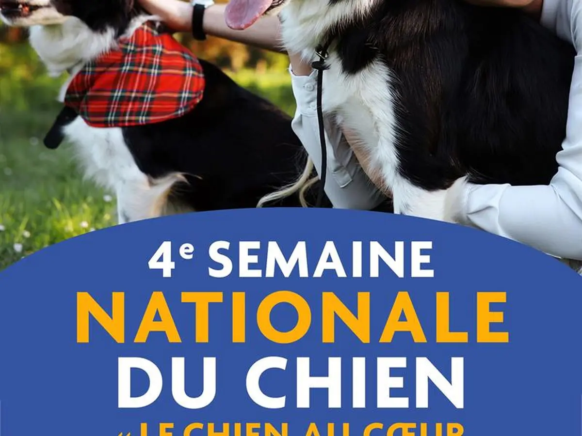 Semaine Nationale du Chien au Pays Thionvillois
