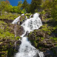 Semaines culinaires d'Hinterwald DR