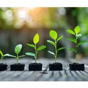 Sème, semez, semons ! : Inauguration granothèque