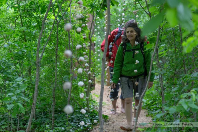 SensoRied : Un sentier à parcourir pieds nus