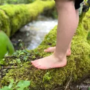 Sentier pieds nus en forêt
