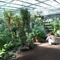 Intérieur de la serre du Jardin des papillons à Hunawihr DR