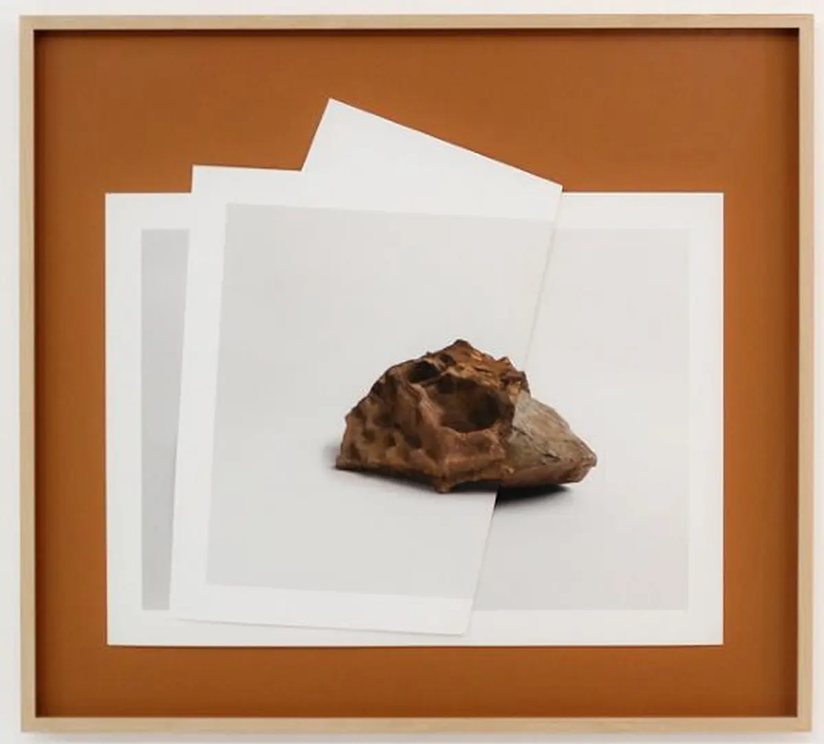 Settled, exposition de photographie à La Filature de Mulhouse