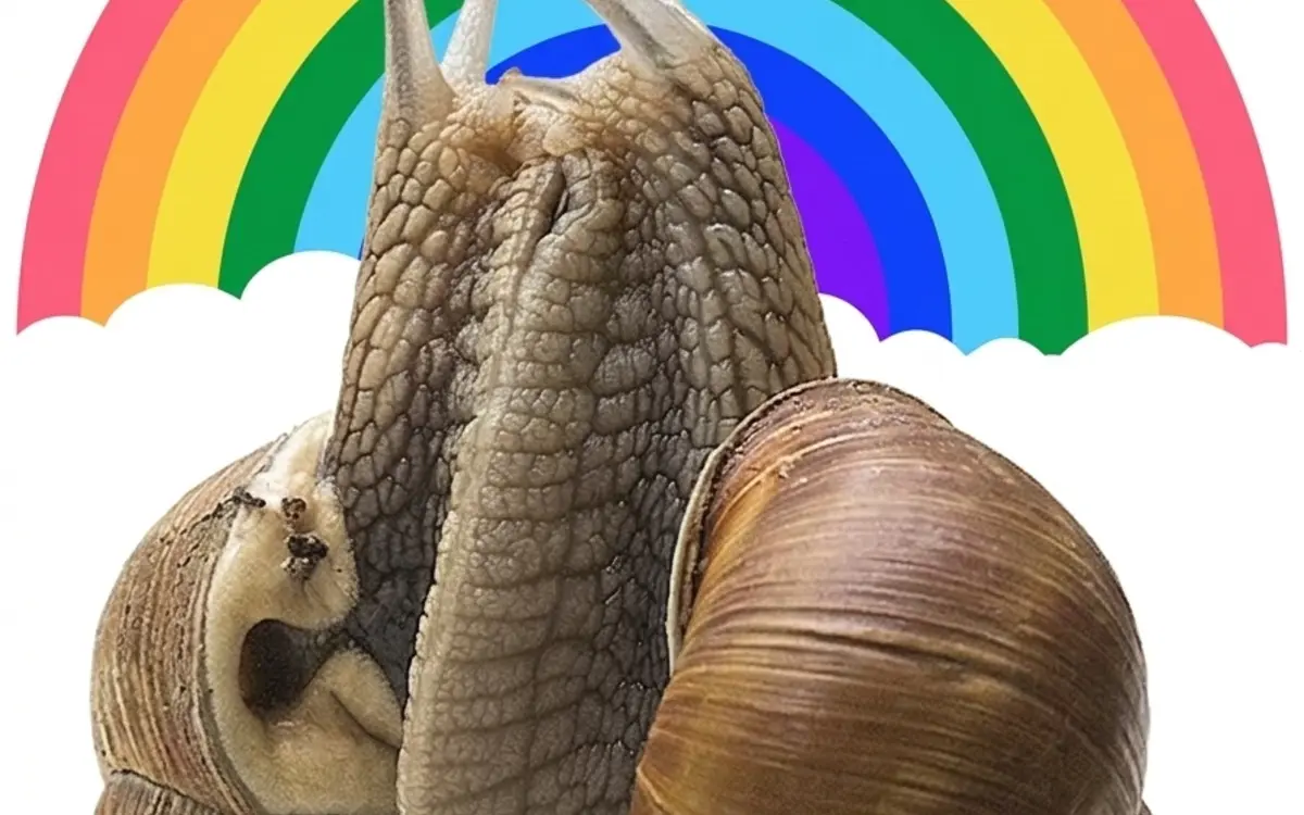 Sexualité dans le monde animal : quand les animaux cassent les codes