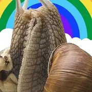 Sexualité dans le monde animal : quand les animaux cassent les codes