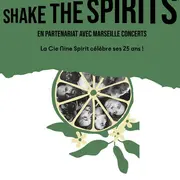 Shake the Spirits
