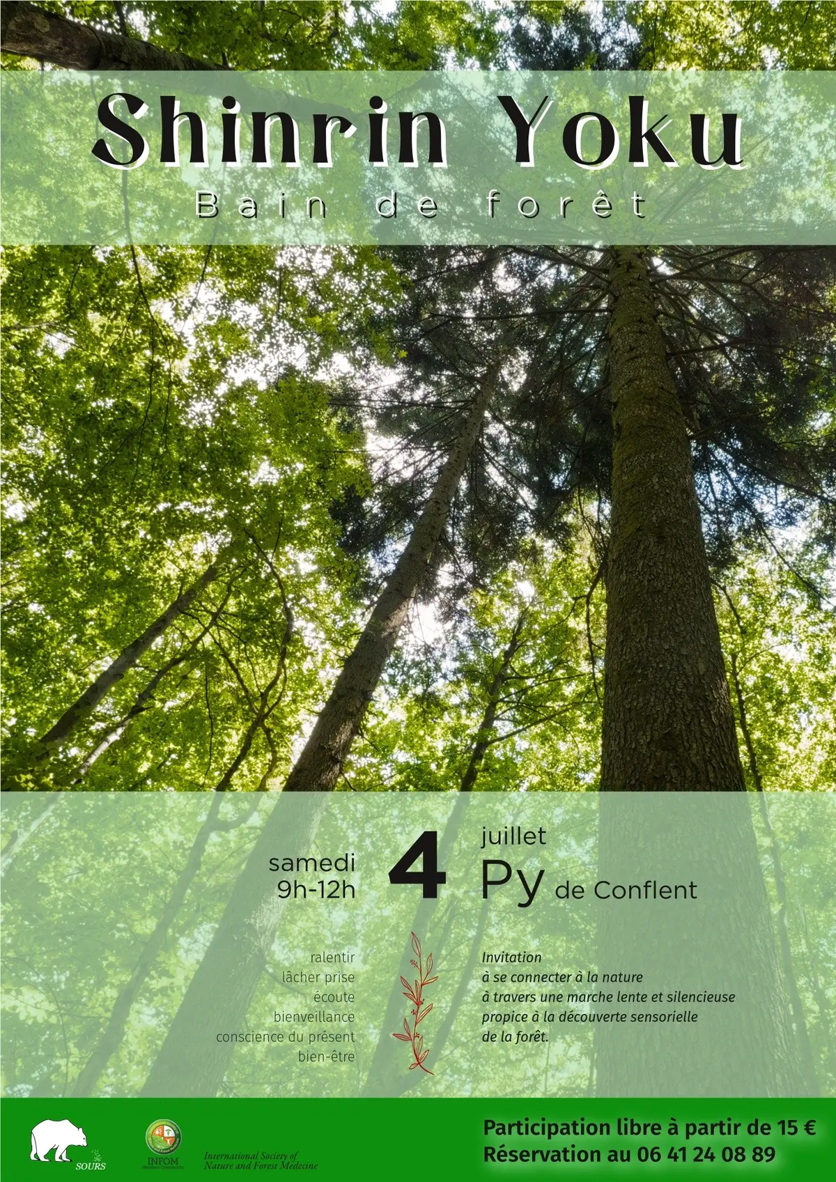 Shinrin Yoku : Bain De Forêt A Py