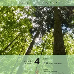 Shinrin Yoku : Bain De Forêt A Py