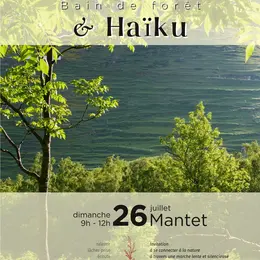 Shinrin Yoku : Bain De Forêt Et Haïku à Mantet