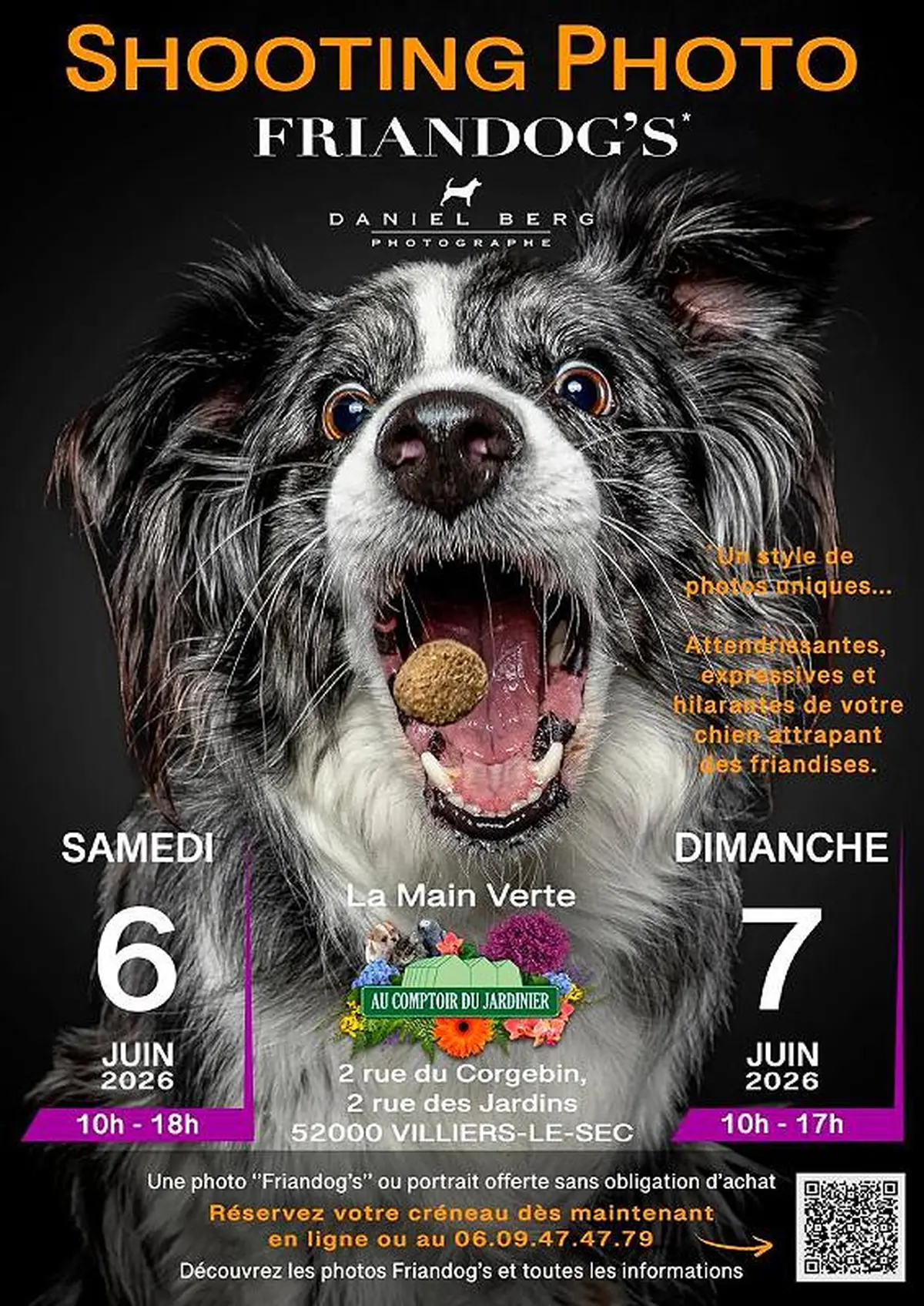 Shooting photo de chien