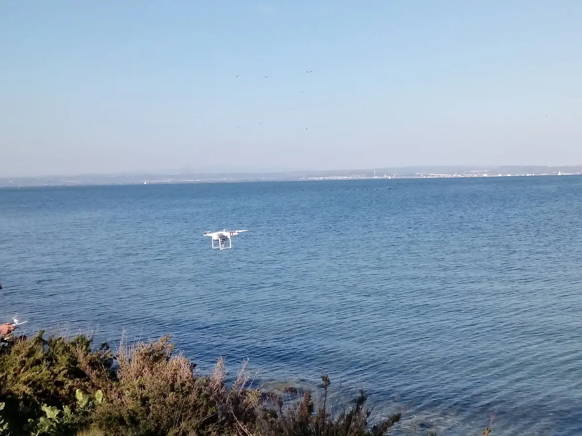 Show de drones lumineux