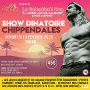 Show Dinatoire Chippendales