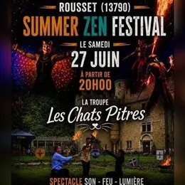 Show les Chats Pitres