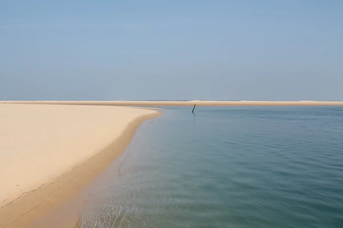 Si le banc d'Arguin nous était conté