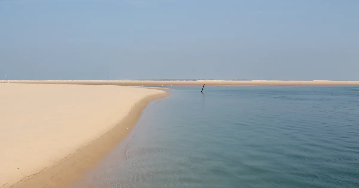 Si le banc d'Arguin nous était conté