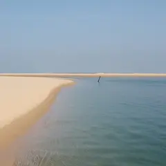 Si le banc d'Arguin nous était conté