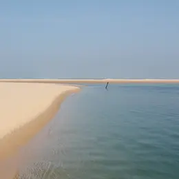 Si le banc d'Arguin nous était conté