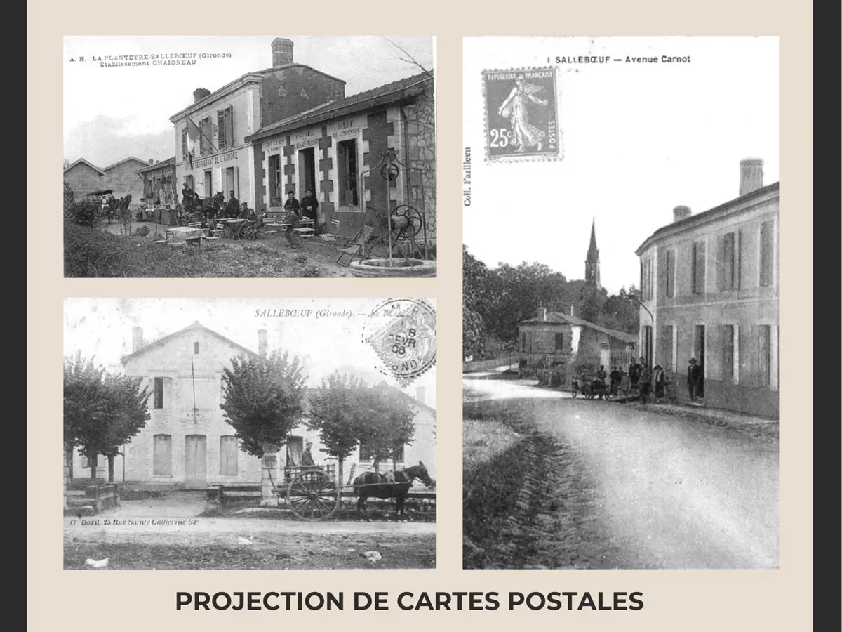 Si Sallebœuf vous était conté