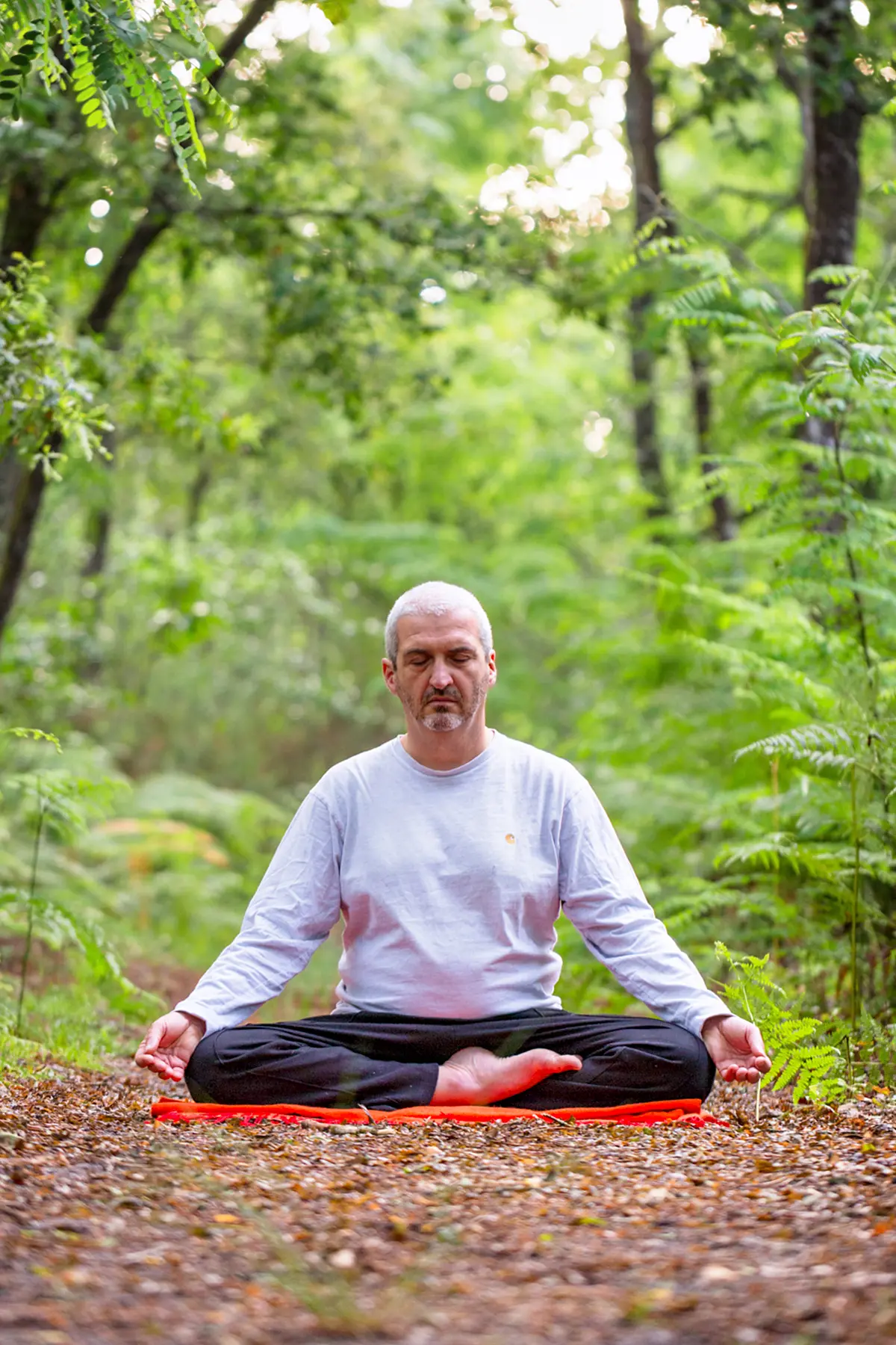 Silence, Yoga Et Méditation