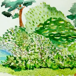 Simples jardinages - chantier participatif
