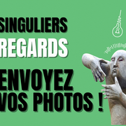 Singuliers Regards 5
