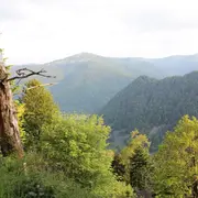 Escapade dans les Vosges : sur le sentier de la Wormsa