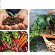 Slow Food Béarn - pour une transition vers une alimentation plus saine et plus durable