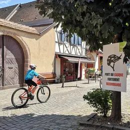 slowUp Alsace 2026 : 45 000 participants sur la Route des Vins