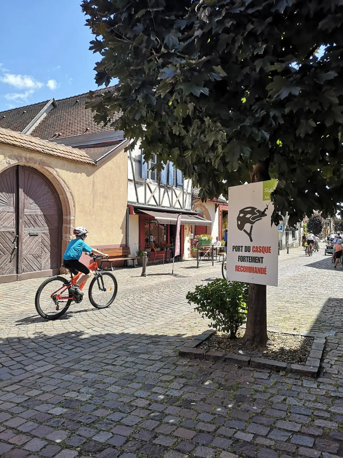 slowUp Alsace 2026 : 45 000 participants sur la Route des Vins