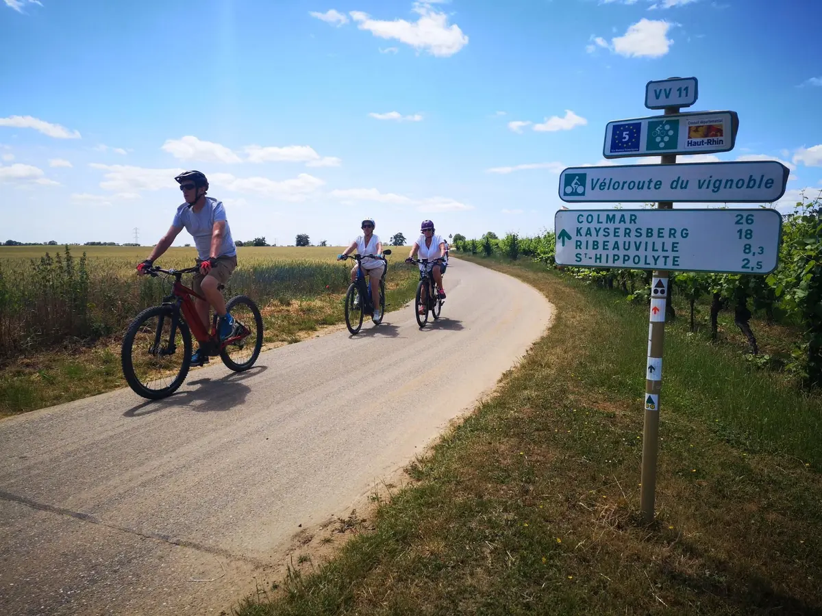 SlowUp Alsace 2027 - événement cycliste et mobilités douces