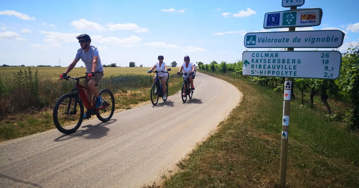 SlowUp Alsace 2027 - événement cycliste et mobilités douces