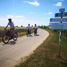SlowUp Alsace 2027 - événement cycliste et mobilités douces