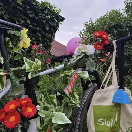 slowUp Alsace : une journée sans voiture sur la Route des Vins