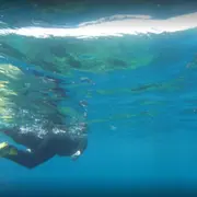 Snorkeling à Ajaccio (20)