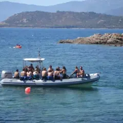 Snorkeling à Calcatoggio (20)