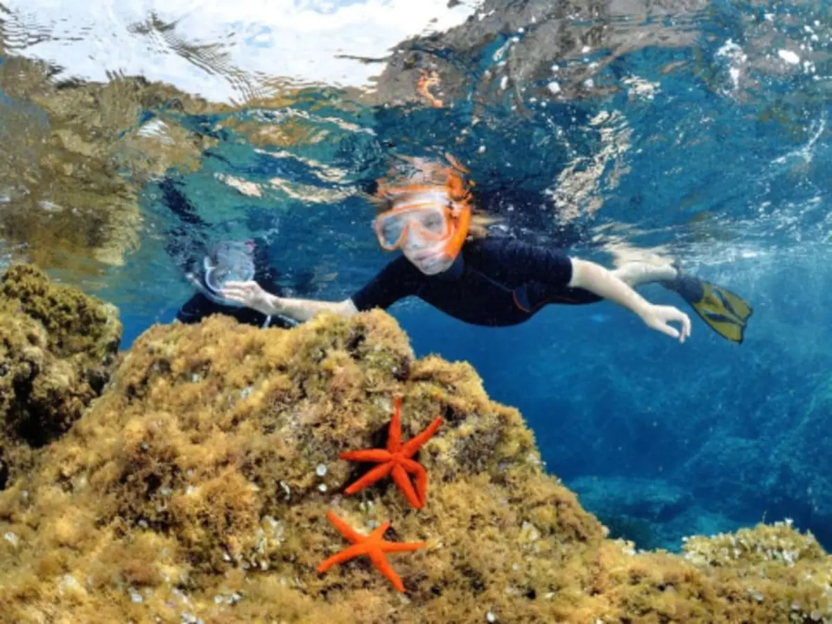 Snorkeling à Calvi (20)