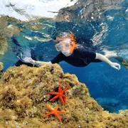 Snorkeling à Calvi (20)