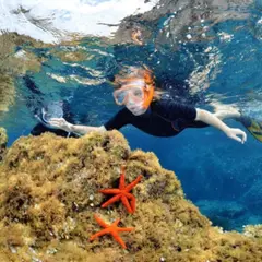 Snorkeling à Calvi (20)
