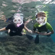 Snorkeling à Cerbère (66)