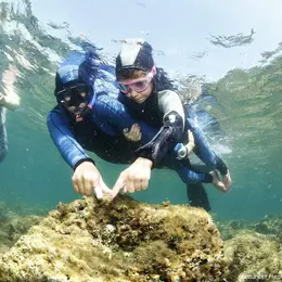 Snorkeling au coeur du Parc Marin