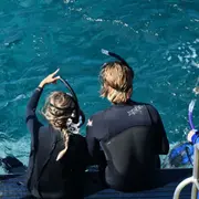 Snorkeling en bateau à Argelès-sur-Mer (66)
