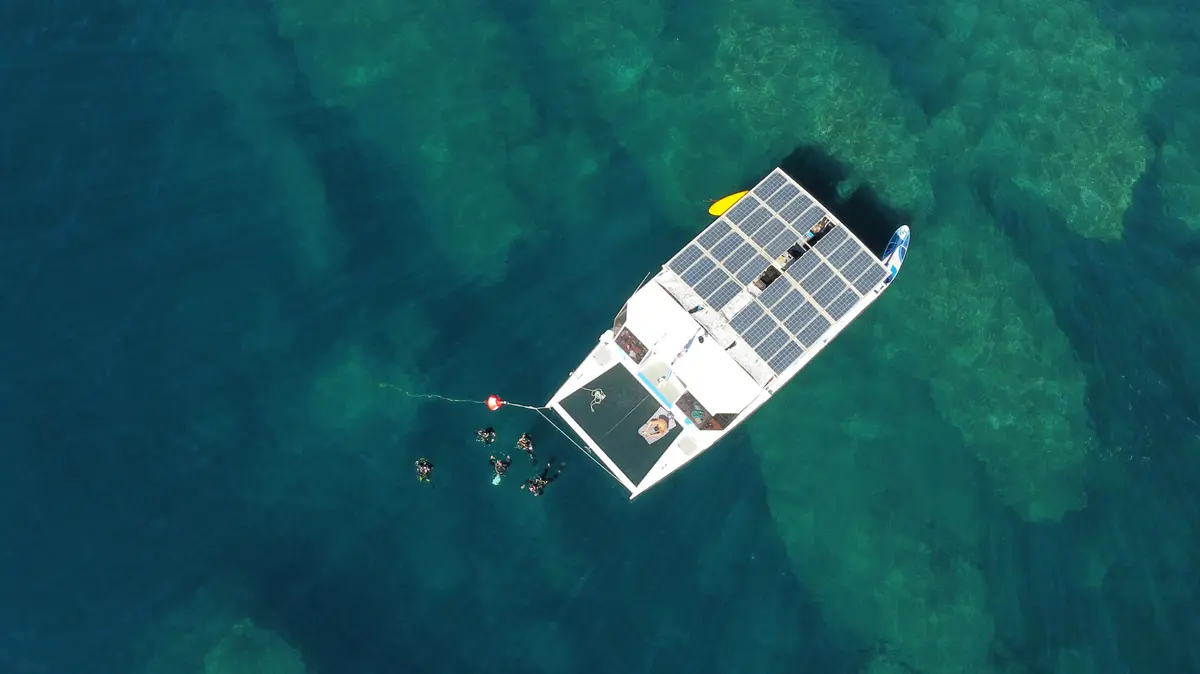 Snorkeling Guide A Bord D'Un Catamaran Electrique