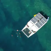 Snorkeling Guide A Bord D'Un Catamaran Electrique