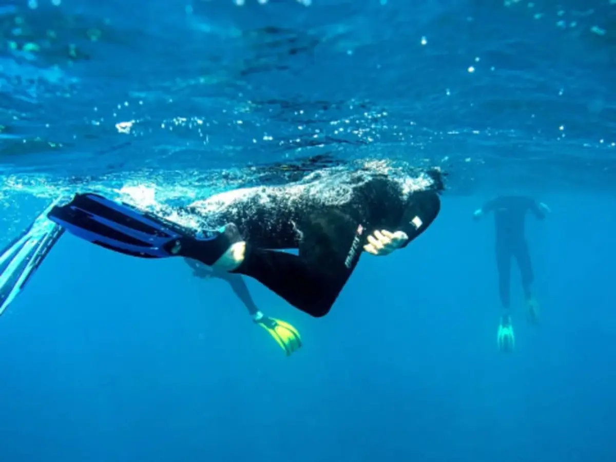 Snorkeling sur barrière de corail de la Réunion depuis Saint-Leu