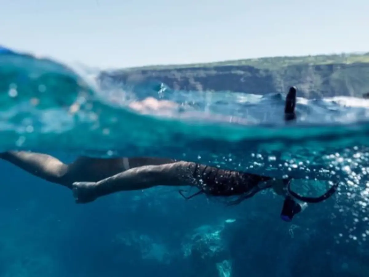 Snorkeling sur la Côte Bleue près de Marseille