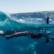Snorkeling sur la Côte Bleue près de Marseille