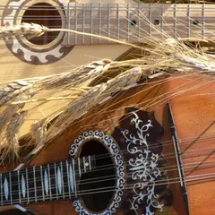 Société de Mandolines Colmarienne