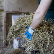 Soigneur d'un jour à la Ferme de Paris