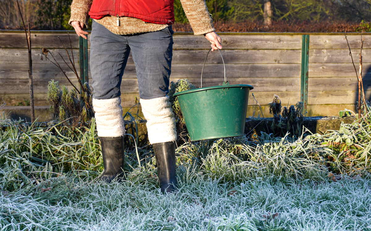 Soigneur d'un jour à la Ferme de Paris